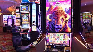 pk 764 Sportsbook